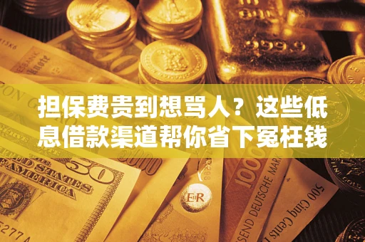 济南担保费贵到想骂人？这些低息借款渠道帮你省下冤枉钱