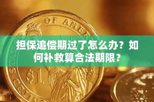 济南担保追偿期过了怎么办？如何补救算合法期限？
