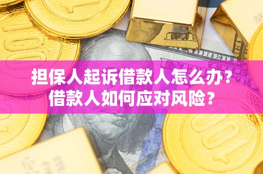 济南担保人起诉借款人怎么办？借款人如何应对风险？